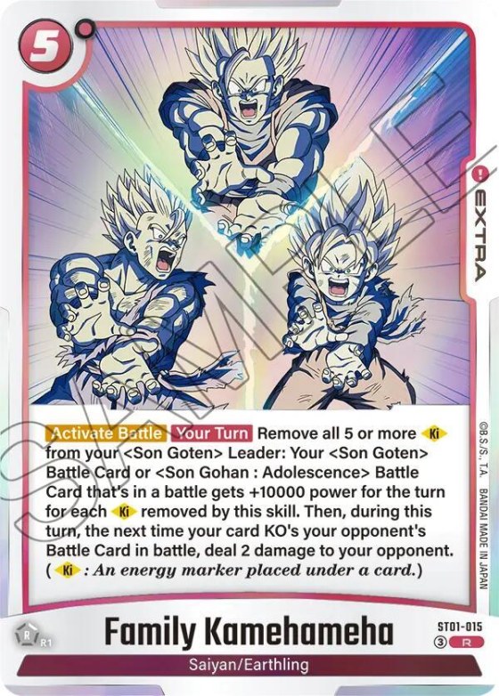 Family Kamehameha - Holo