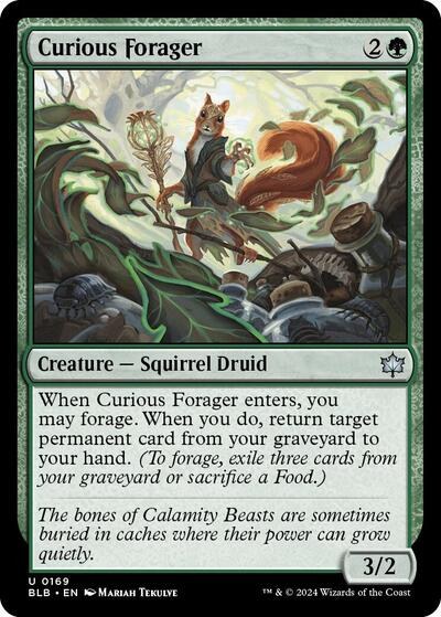 Curious Forager - Foil