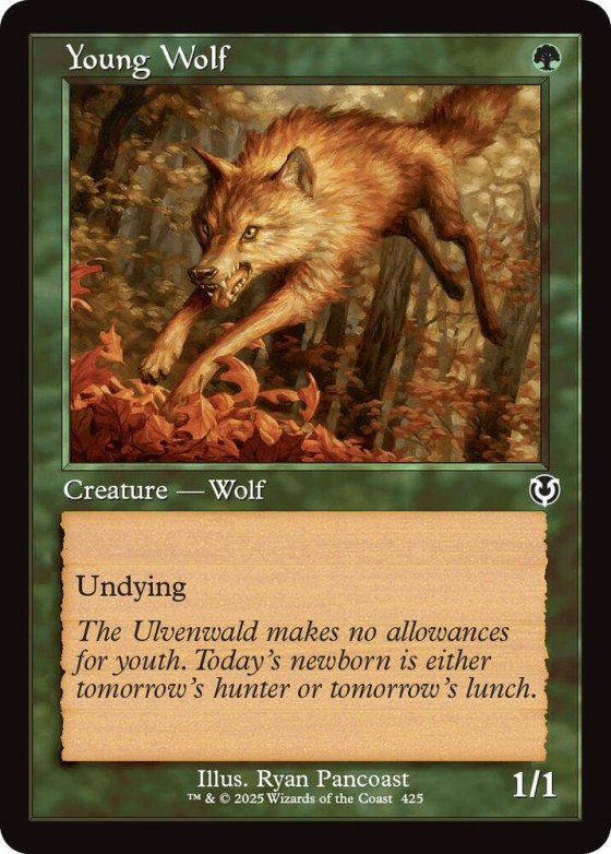 Young Wolf - Foil