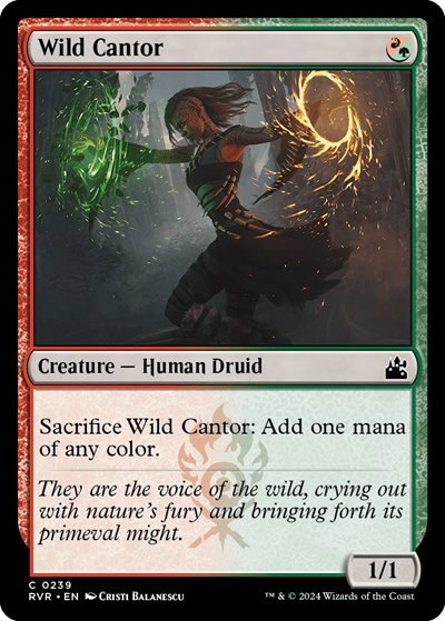 Wild Cantor - Foil