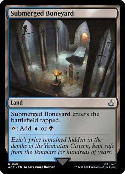 Submerged Boneyard