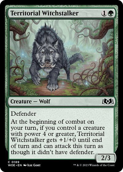 Territorial Witchstalker - Foil