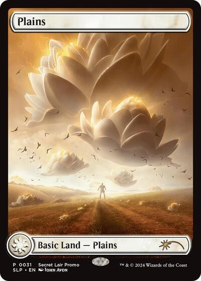 Plains