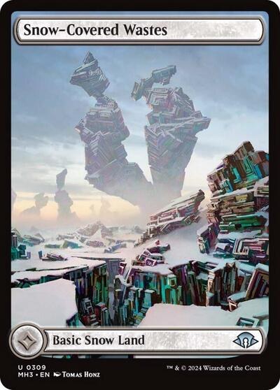 Snow-Covered Wastes - Foil