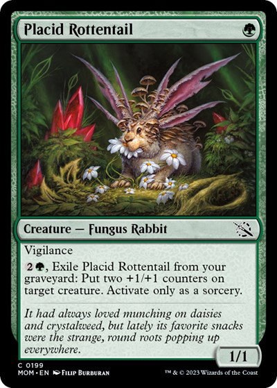 Placid Rottentail - Foil