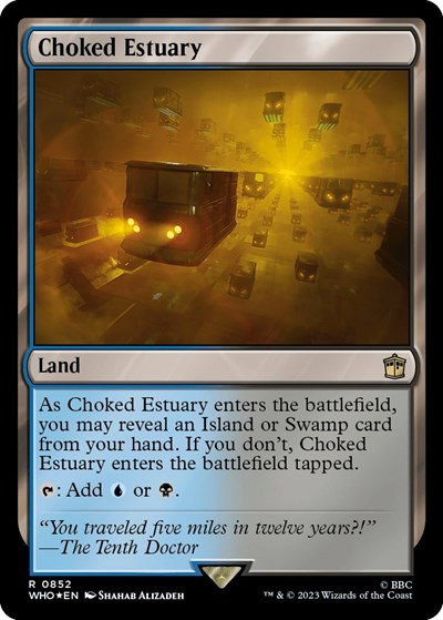 Choked Estuary
