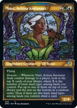 Nael, Avizoa Aeronaut