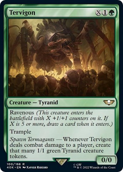 Tervigon - Surge Foil