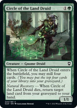 Circle of the Land Druid
