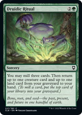 Druidic Ritual - Foil