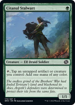 Citanul Stalwart - Foil