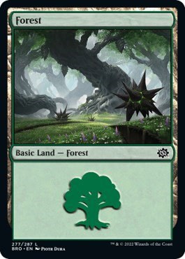 Forest - Foil