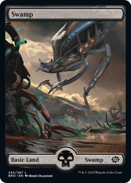 Swamp (283) - Full Art - Foil