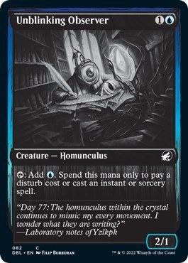 Unblinking Observer - Foil