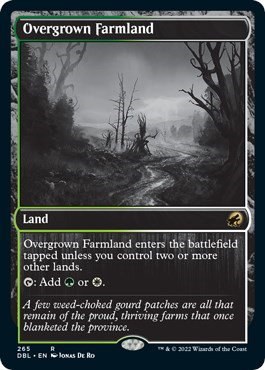 Overgrown Farmland - Foil