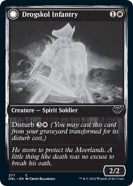 Drogskol Infantry - Foil