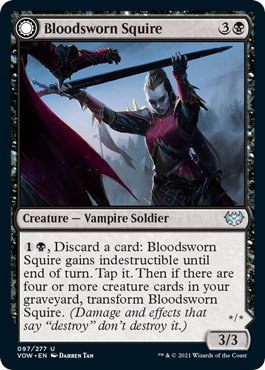 Bloodsworn Squire - Foil