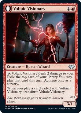 Voltaic Visionary
