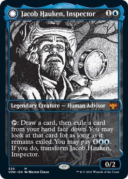 Jacob Hauken, Inspector