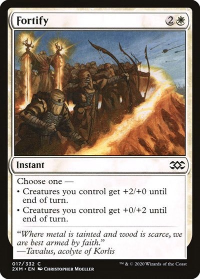 Fortify - Normal Fortify