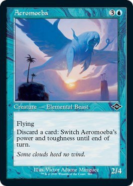 Aeromoeba - Foil