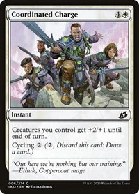 Coordinated Charge - Foil