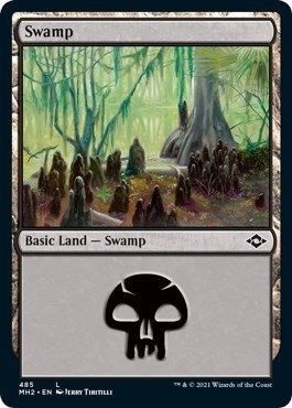 Swamp - Foil Etched