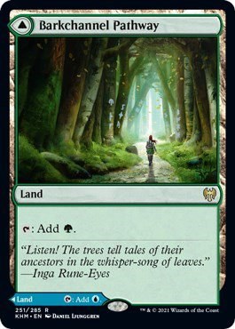 Barkchannel Pathway - Foil