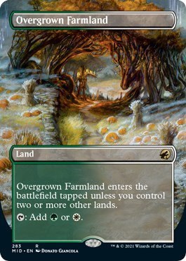 Overgrown Farmland - Foil