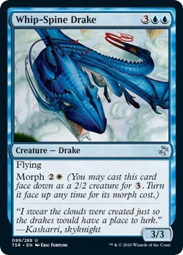 Whip-Spine Drake - Foil