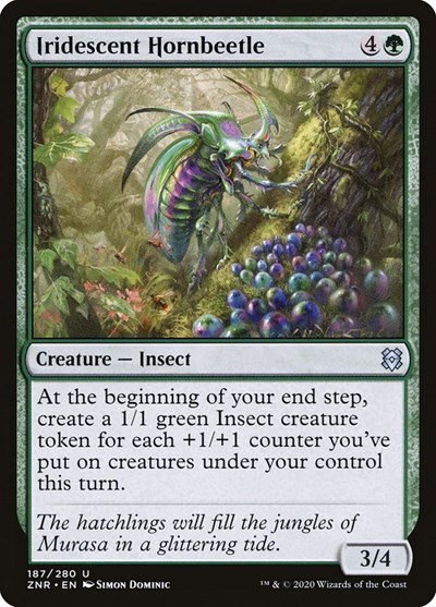Iridescent Hornbeetle - Foil