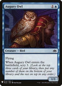 Augury Owl - Normal Augury Owl