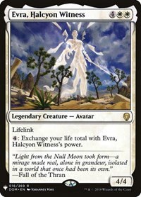 Evra, Halcyon Witness - Normal Evra Halcyon Witness