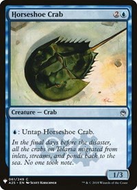 Horseshoe Crab - Normal Horseshoe Crab
