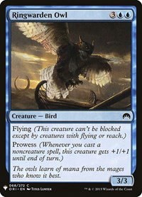 Ringwarden Owl - Normal Ringwarden Owl