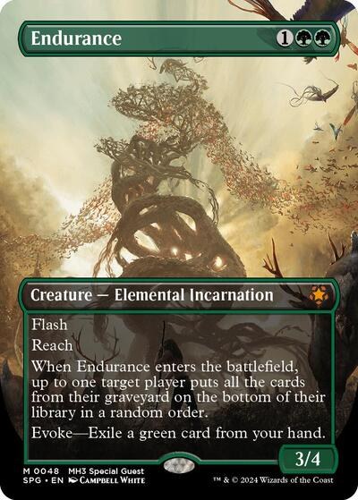 Endurance - Foil