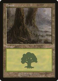Forest - Normal Forest 37989