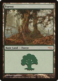 Forest - Normal Forest 37990