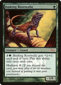 Basking Rootwalla - Foil Basking Rootwalla