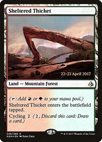 Sheltered Thicket - Foil Sheltered Thicket