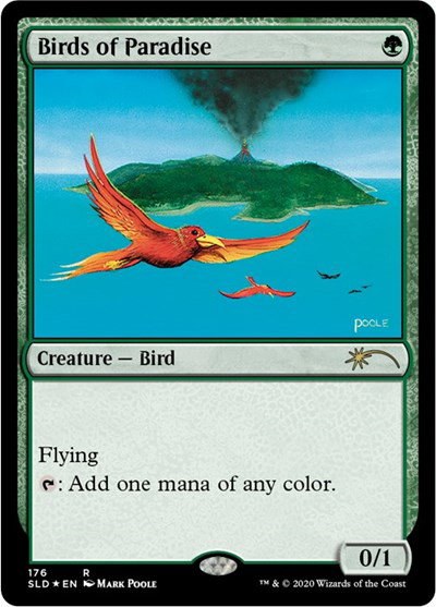 Birds of Paradise - Foil