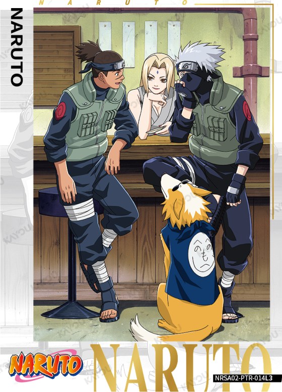 Tsunade & Kakashi Hatake & Iruka Umino