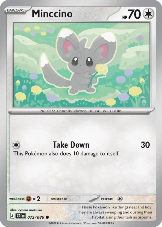 Minccino