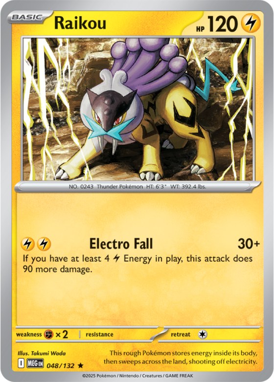 Raikou - Holo