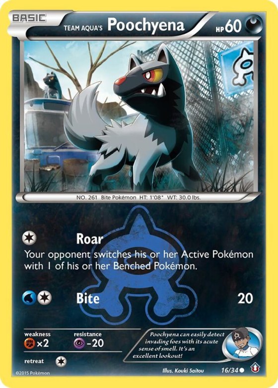 Team Aqua's Poochyena - Reverse Holo