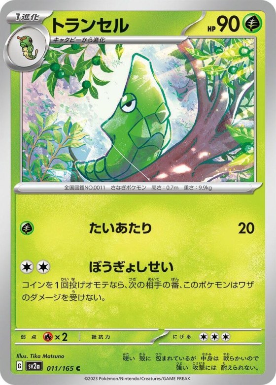 Metapod - Master Ball Pattern