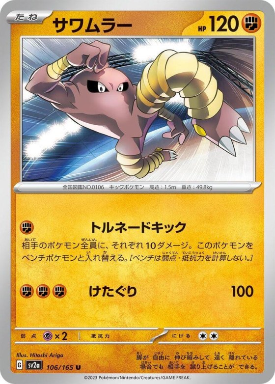 Hitmonlee - Master Ball Pattern
