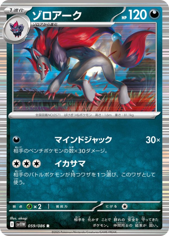 Zoroark - Master Ball Pattern