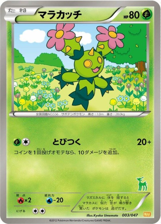 Maractus