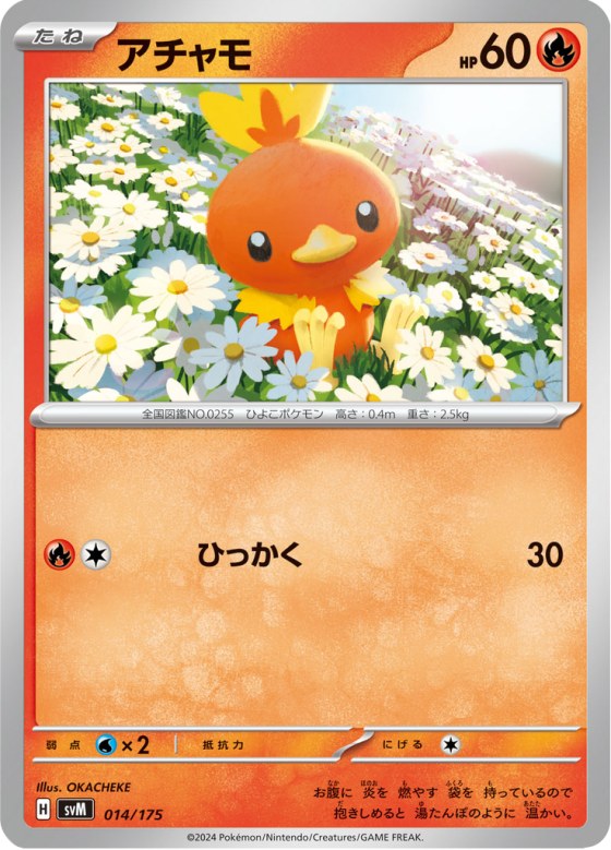 Torchic